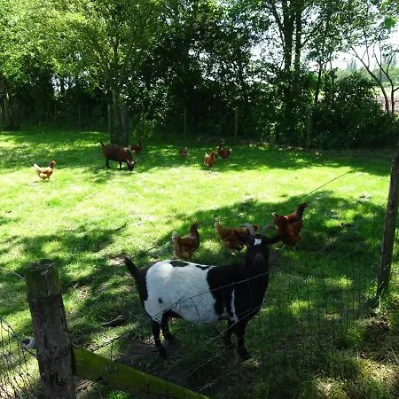 Gezellige Woonboerderij Met Weids Uitzicht Villa